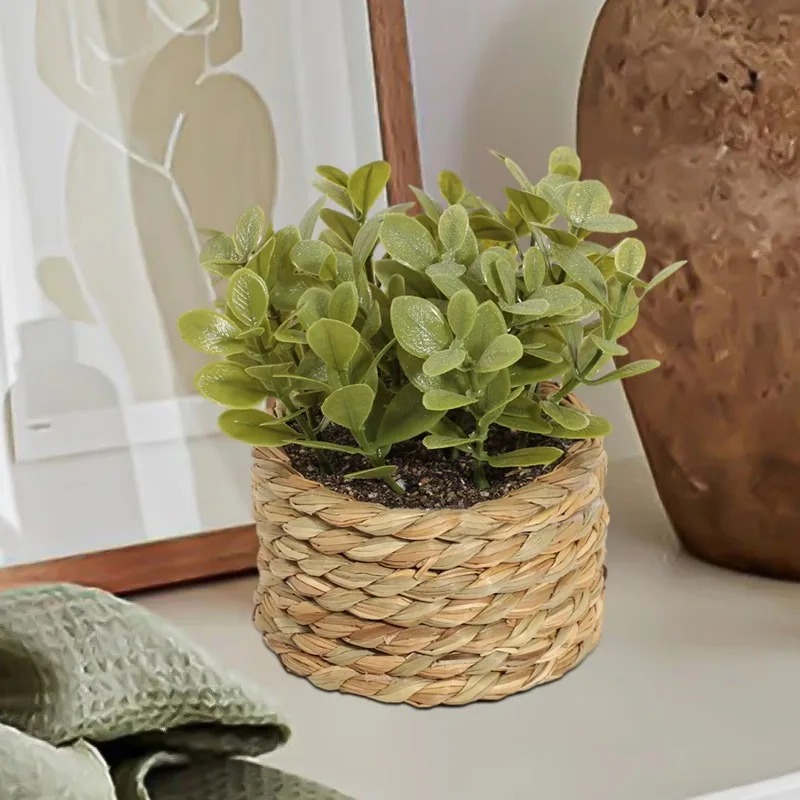 1pcs Woven Small Artificial Gr - Home Office Layout 评论和价格